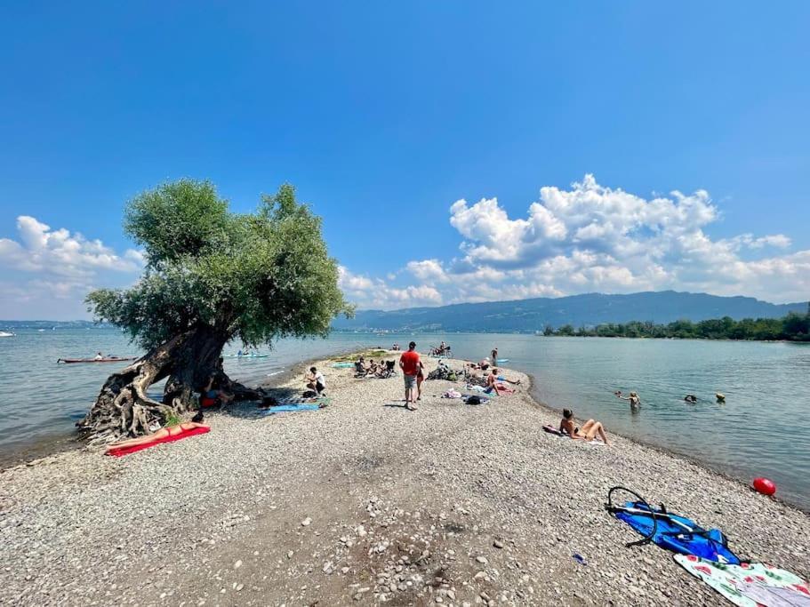 Seeparkvilla - Wohlfuehlen Am See Und Im Gruenen Брегенц Экстерьер фото